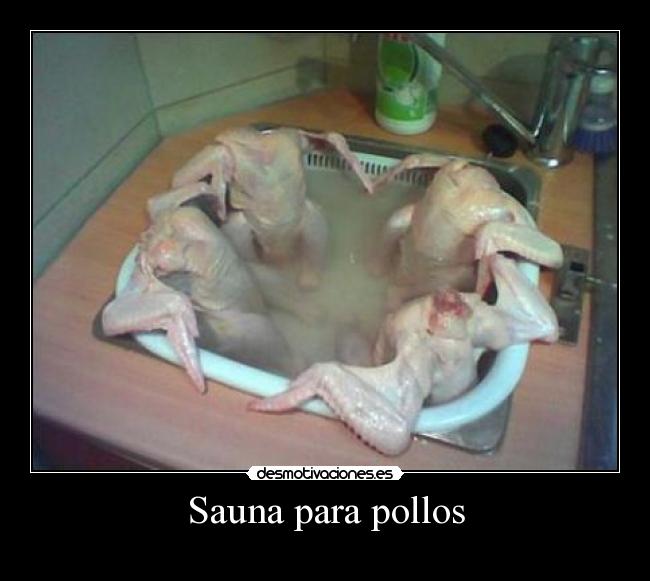 Sauna para pollos -