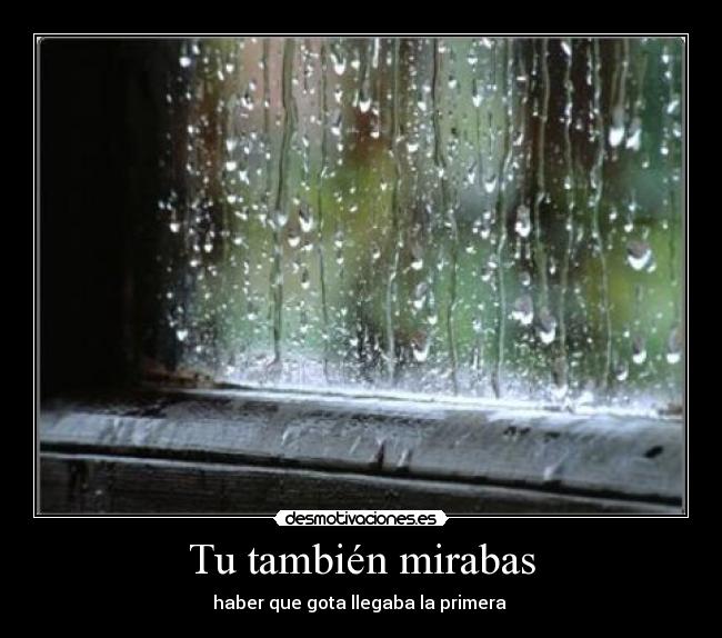 Tu también mirabas - haber que gota llegaba la primera