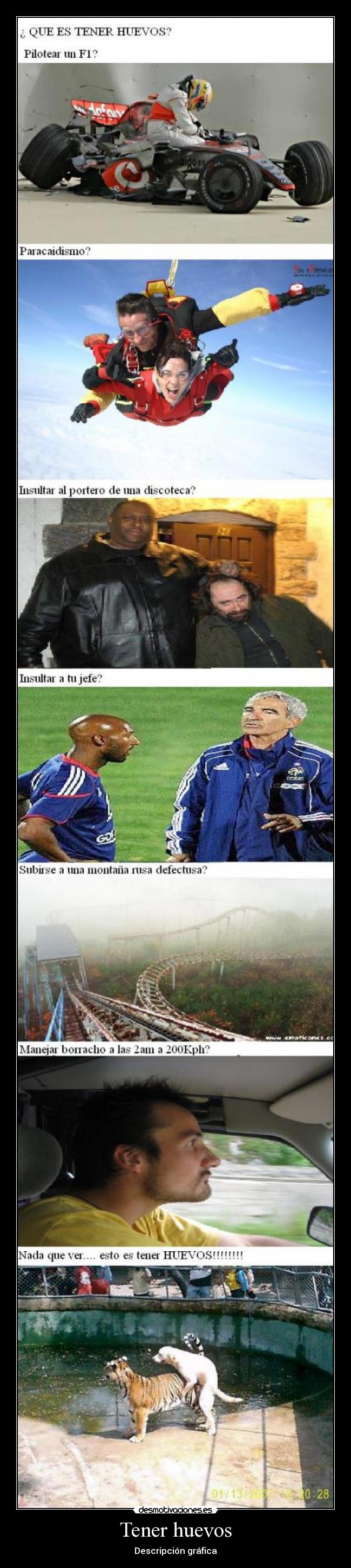 Tener huevos - Descripción gráfica