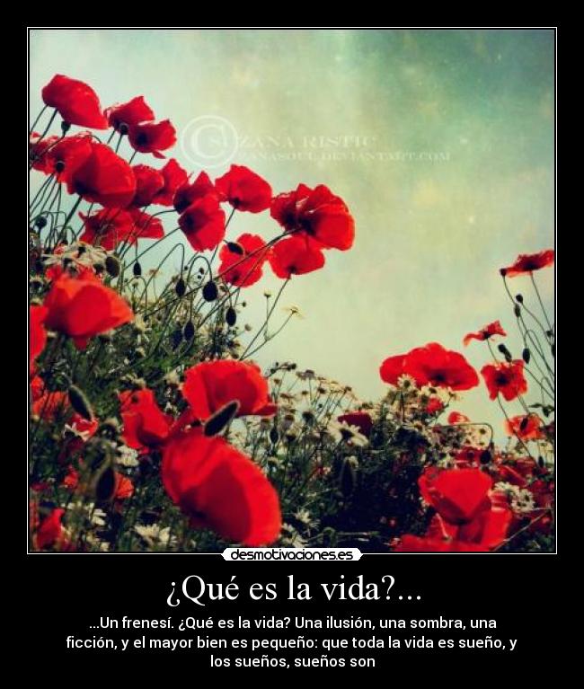 ¿Qué es la vida?... - ...Un frenesí. ¿Qué es la vida? Una ilusión, una sombra, una
ficción, y el mayor bien es pequeño: que toda la vida es sueño, y
los sueños, sueños son