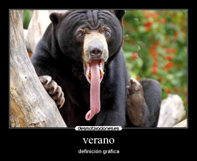 verano -