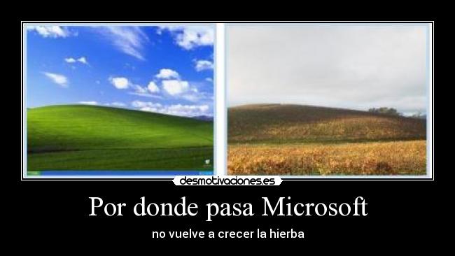 Por donde pasa Microsoft - 