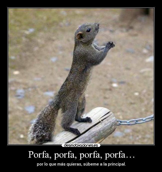 Porfa, porfa, porfa, porfa… -