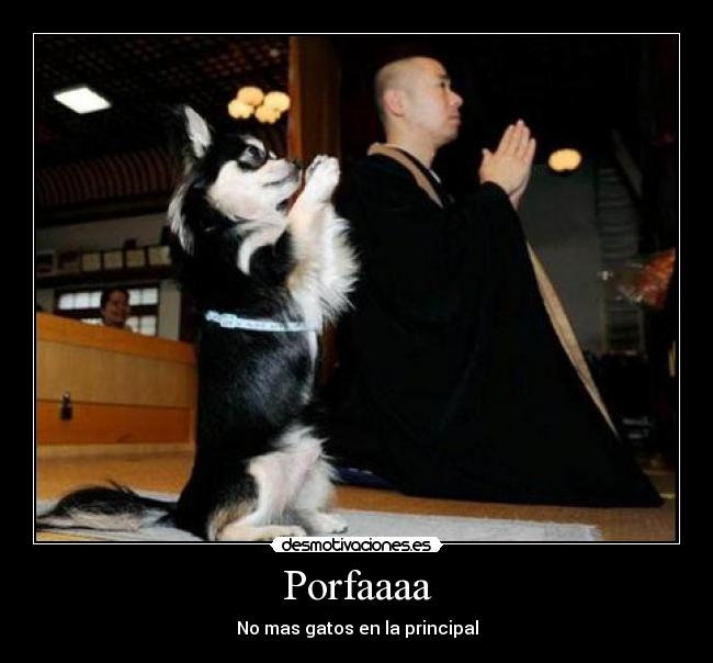 Porfaaaa -