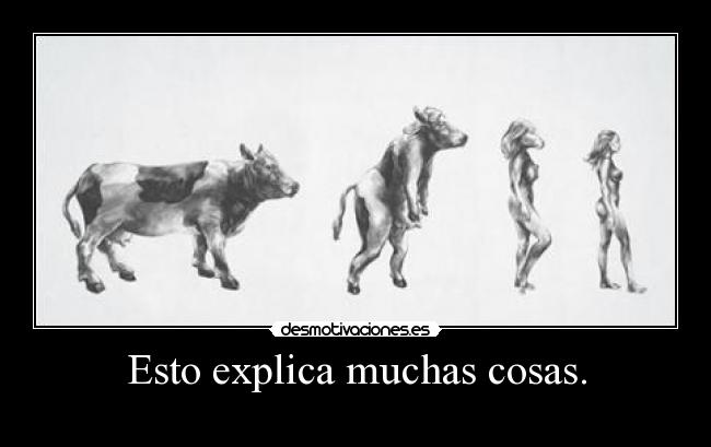 Esto explica muchas cosas. -