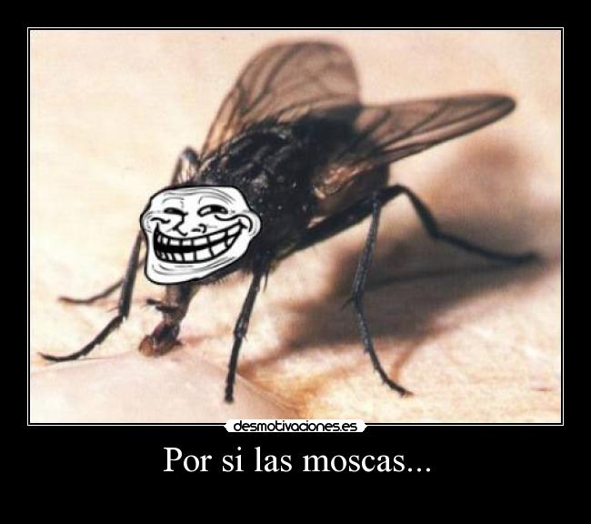 Por si las moscas... -