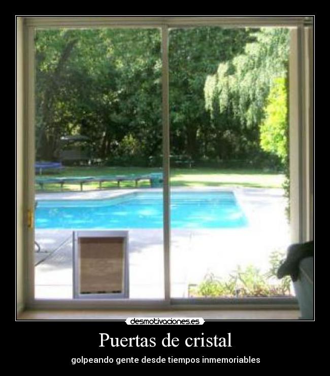 Puertas de cristal -