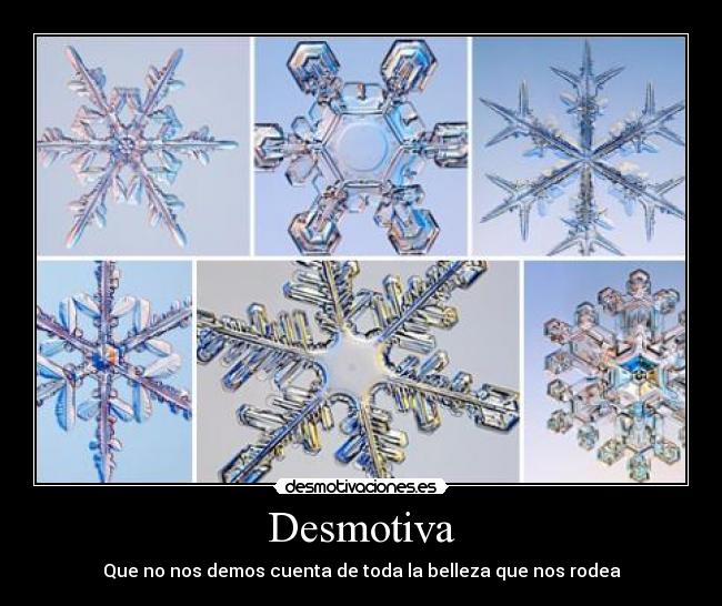 Desmotiva - Que no nos demos cuenta de toda la belleza que nos rodea