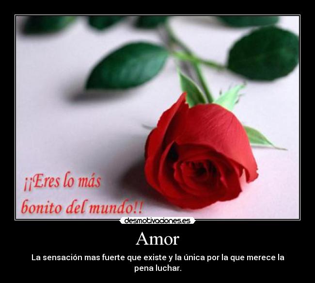 Amor -