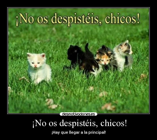 ¡No os despistéis, chicos! -