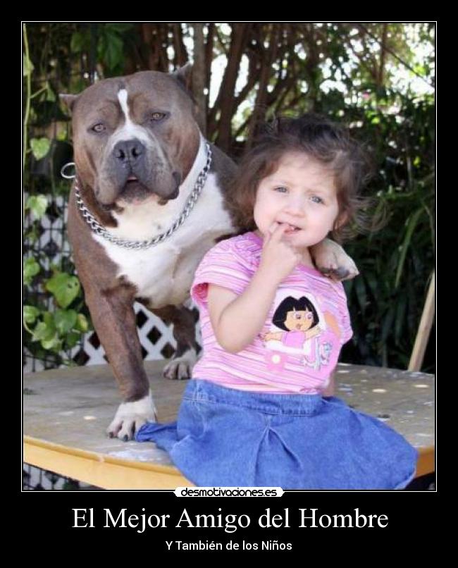 El Mejor Amigo del Hombre -