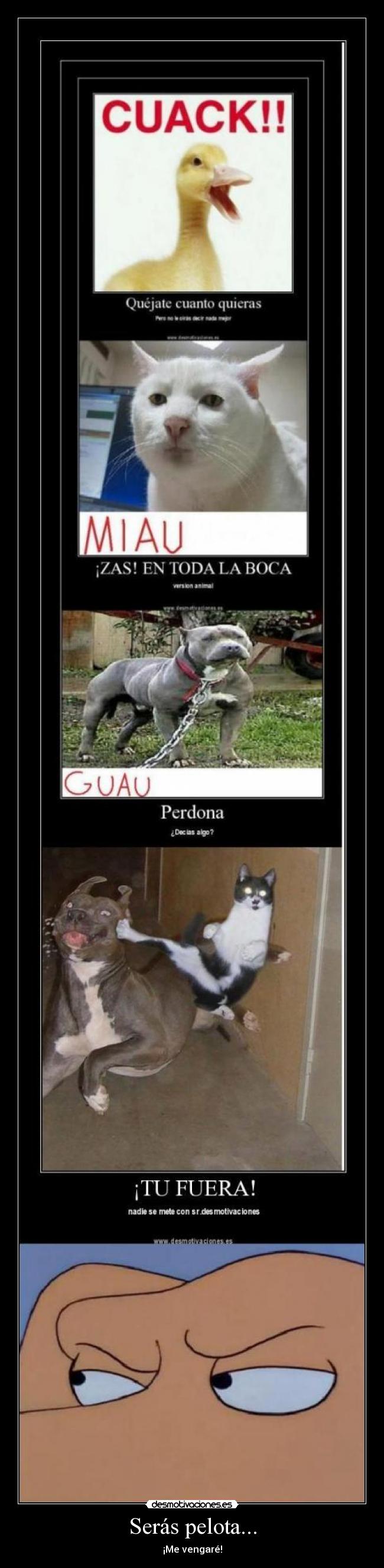 carteles joshba desmotivaciones