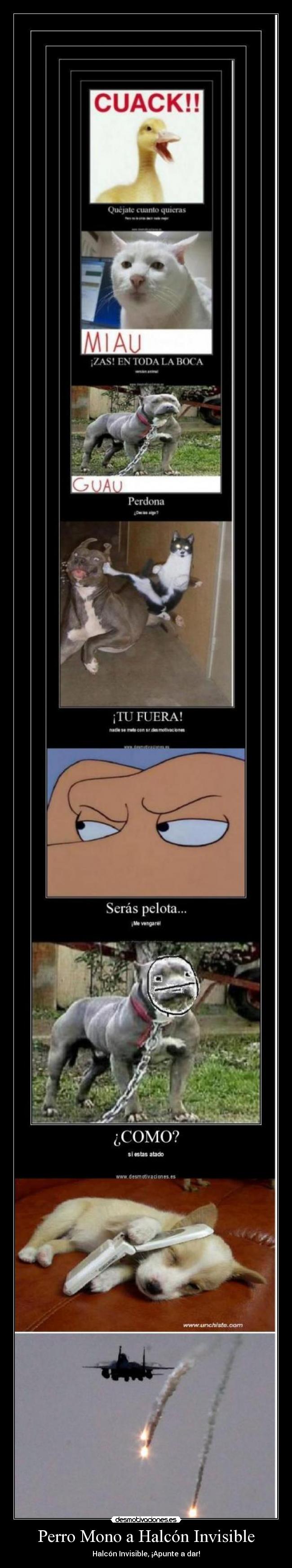 carteles joshba desmotivaciones