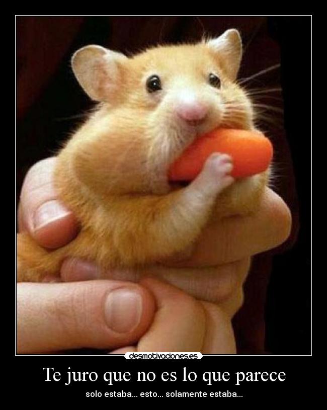 Te juro que no es lo que parece -