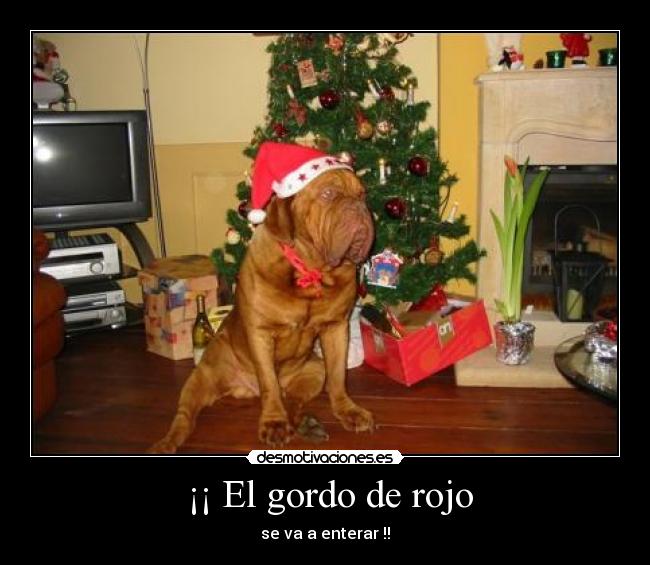 ¡¡ El gordo de rojo -