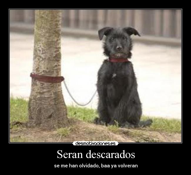 Seran descarados - se me han olvidado, baa ya volveran