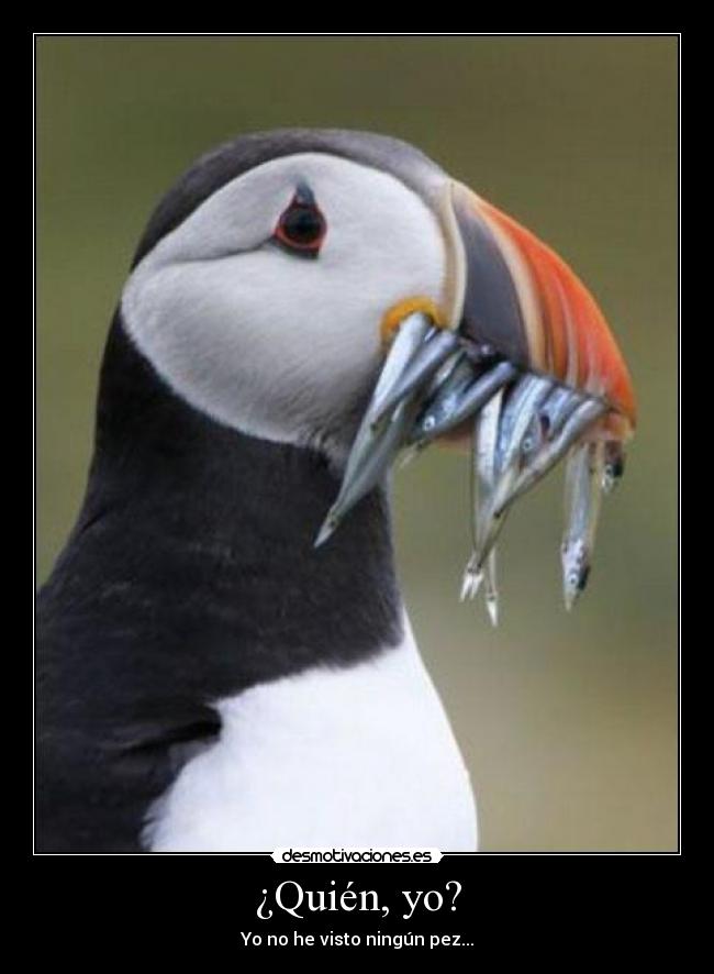 ¿Quién, yo? - 