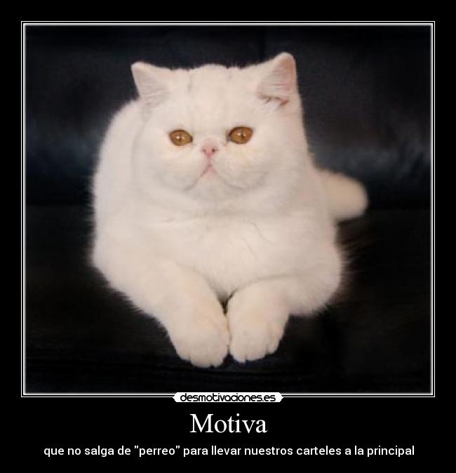 Motiva - que no salga de perreo para llevar nuestros carteles a la principal