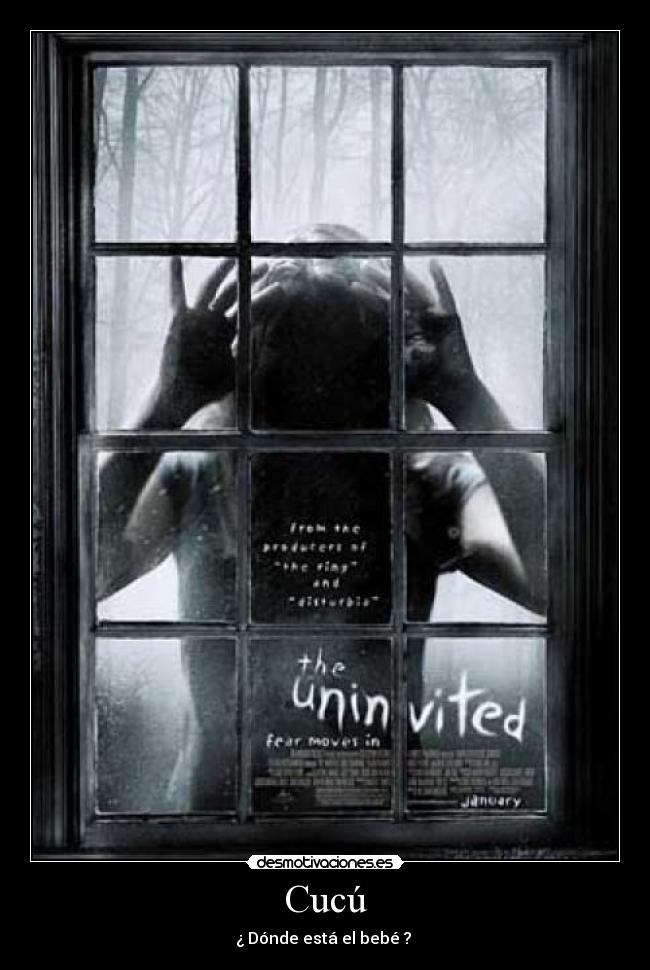 carteles berolas desmotivaciones