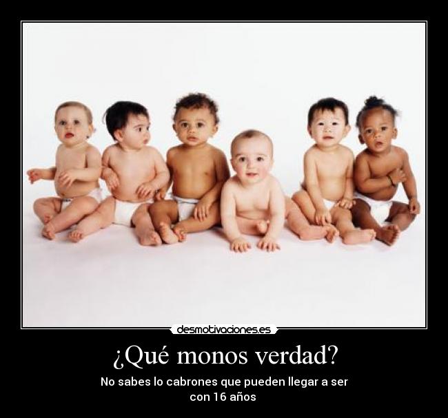 ¿Qué monos verdad? -