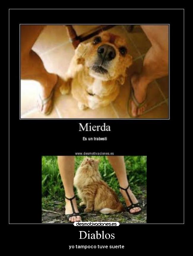 Diablos - yo tampoco tuve suerte