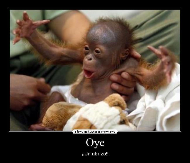 Oye - ¡¡Un abrizo!!