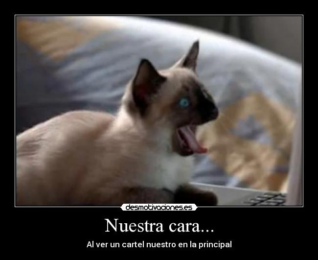 Nuestra cara... - 