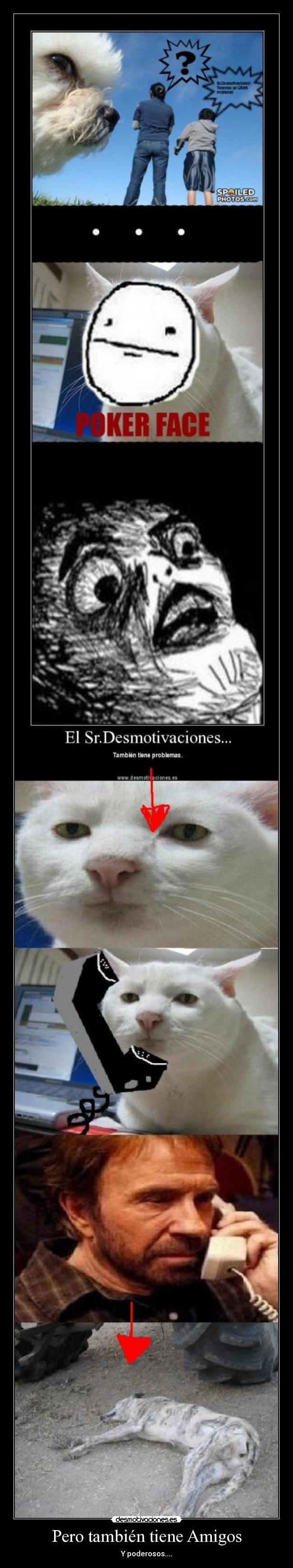 Pero también tiene Amigos - 