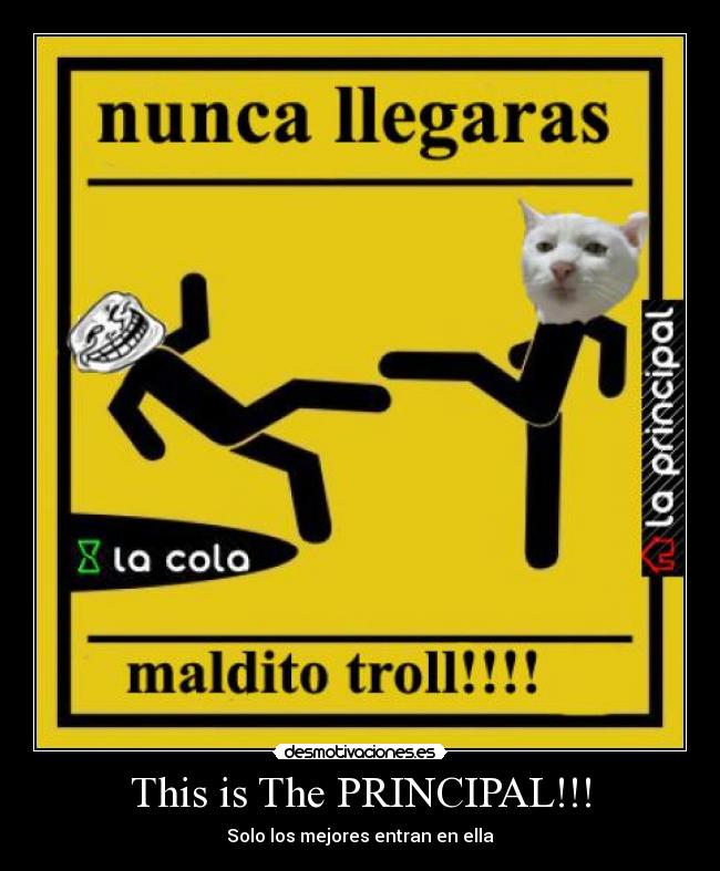 This is The PRINCIPAL!!! - Solo los mejores entran en ella