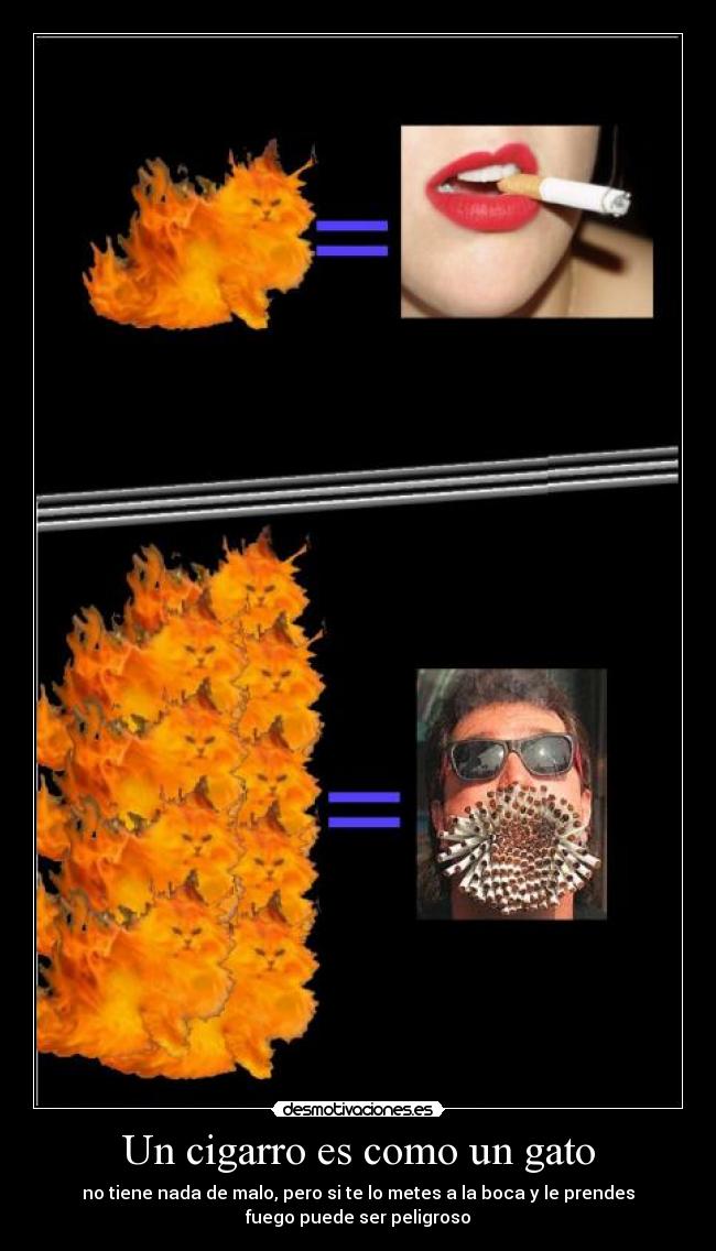Un cigarro es como un gato - 