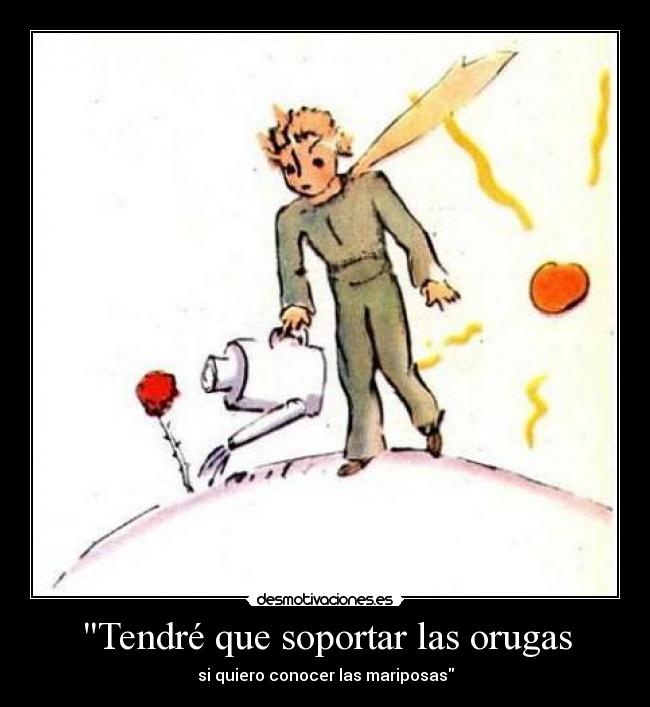 carteles principito desmotivaciones