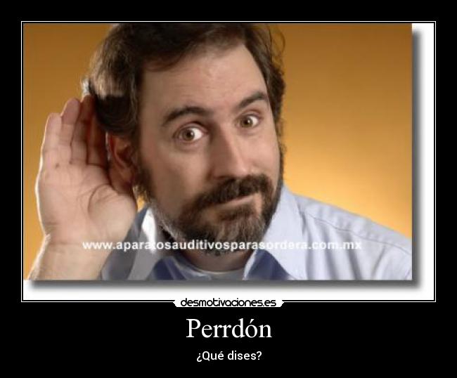 Perrdón -
