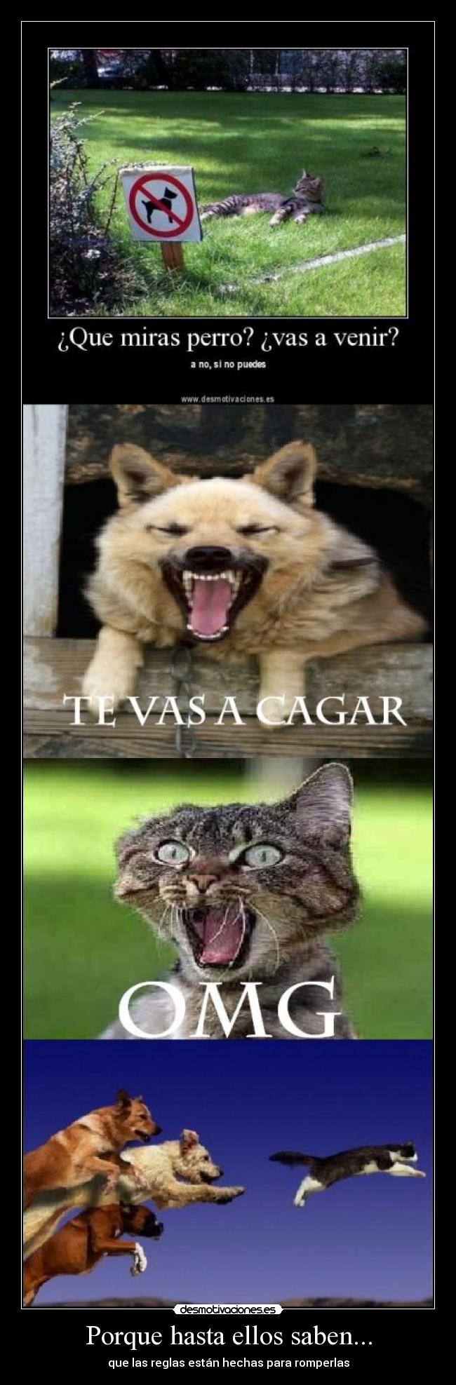 Porque hasta ellos saben... - 