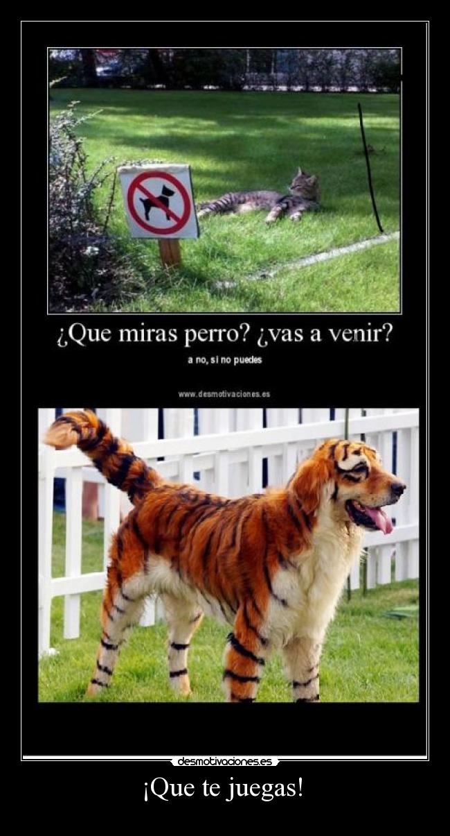 ¡Que te juegas!  - 
