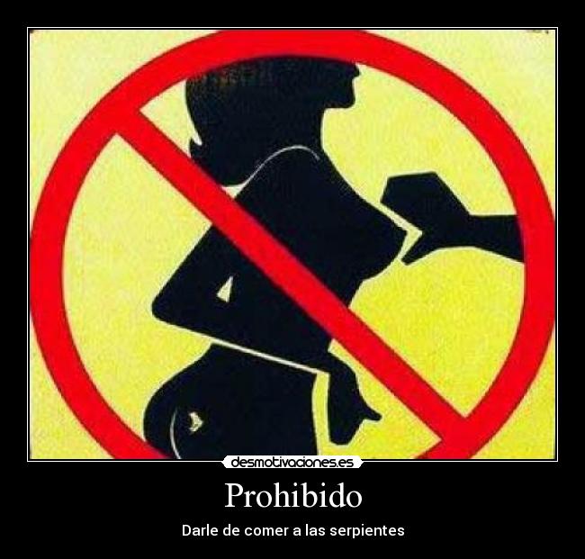 Prohibido - Darle de comer a las serpientes