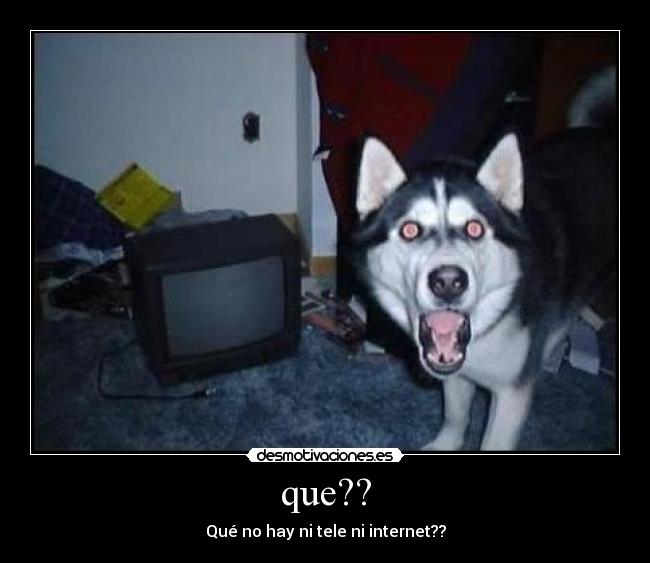 que?? -