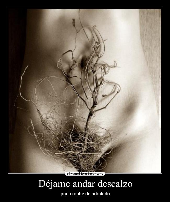 Déjame andar descalzo - por tu nube de arboleda