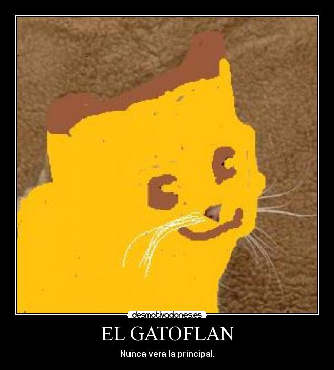 EL GATOFLAN -