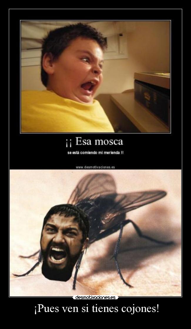¡Pues ven si tienes cojones! - 