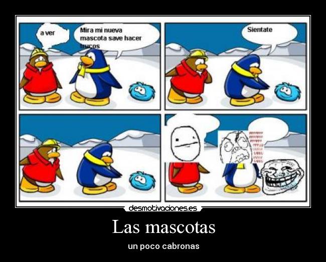 carteles las mascotas desmotivaciones