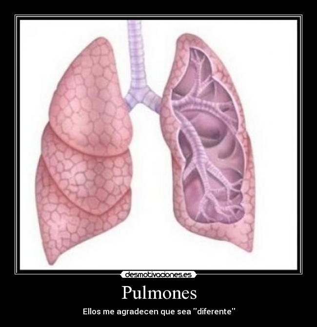 Pulmones - Ellos me agradecen que sea diferente