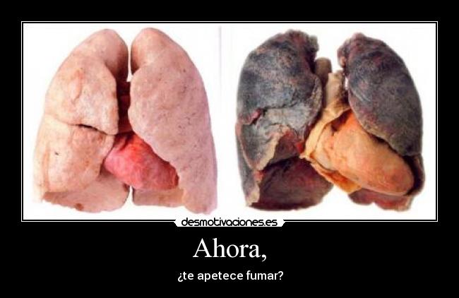 Ahora, - ¿te apetece fumar?