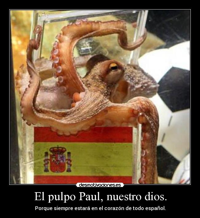 El pulpo Paul, nuestro dios. - Porque siempre estará en el corazón de todo español.