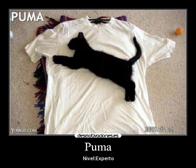 Puma - 