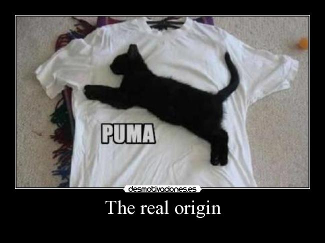 The real origin - 