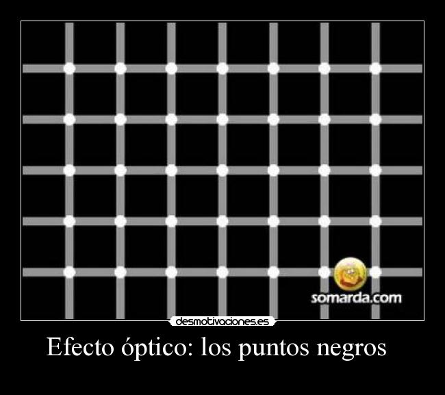 Efecto óptico: los puntos negros -