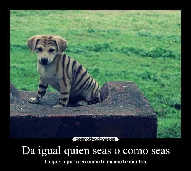 Da igual quien seas o como seas - Lo que importa es como tú mismo te sientas.