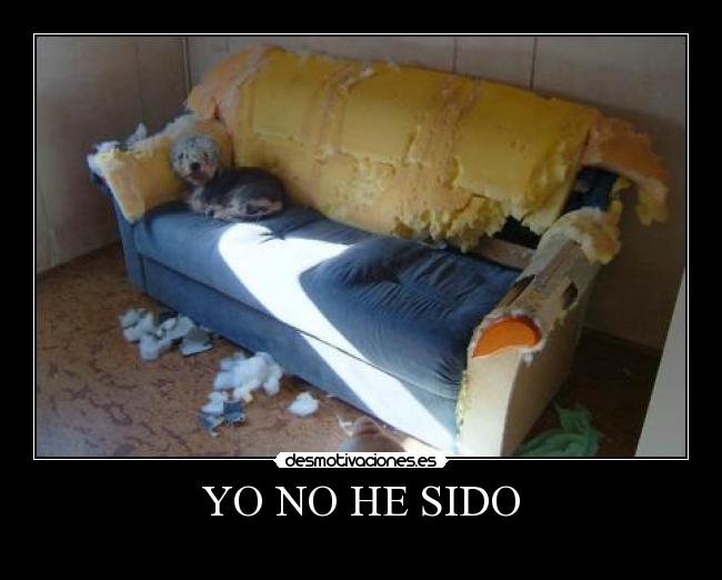 YO NO HE SIDO -