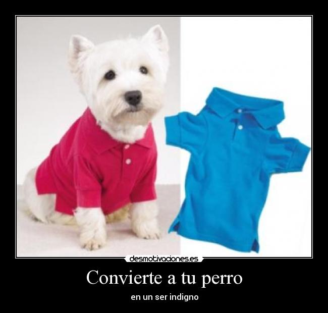 Convierte a tu perro - en un ser indigno