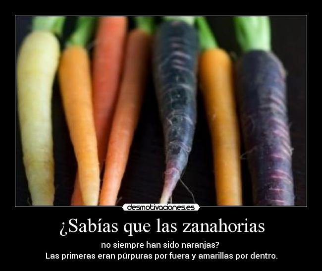 ¿Sabías que las zanahorias - no siempre han sido naranjas? 
Las primeras eran púrpuras por fuera y amarillas por dentro.